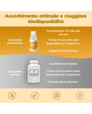 Curcumina Liposomiale Liquida - 250 ml